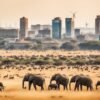 Zambia Biodiversity and the Built Environment