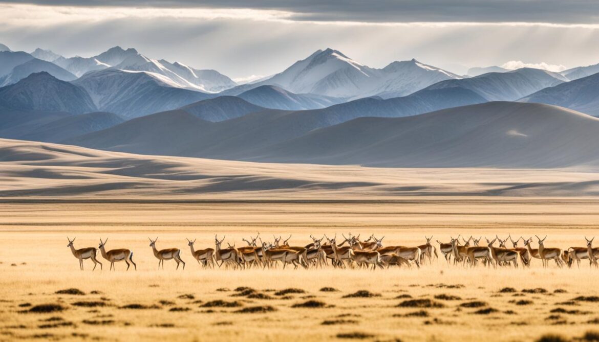 mongolian gazelle conservation