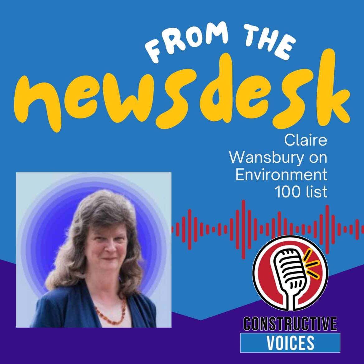 Constructive Voices News Claire Wansbury