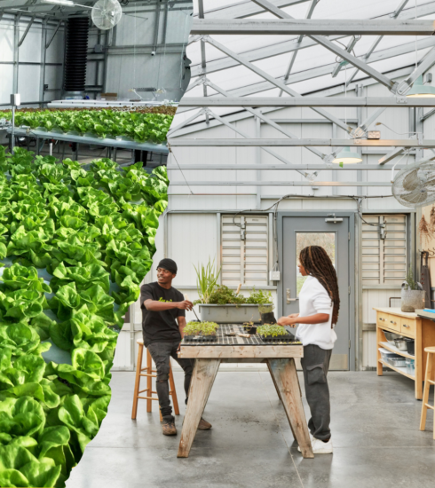 Ceres sustainable greenhouses