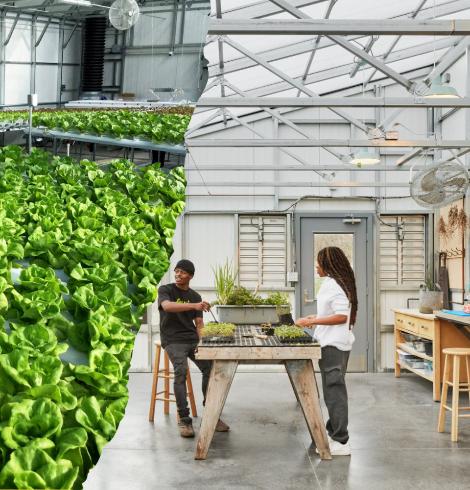 Ceres sustainable greenhouses