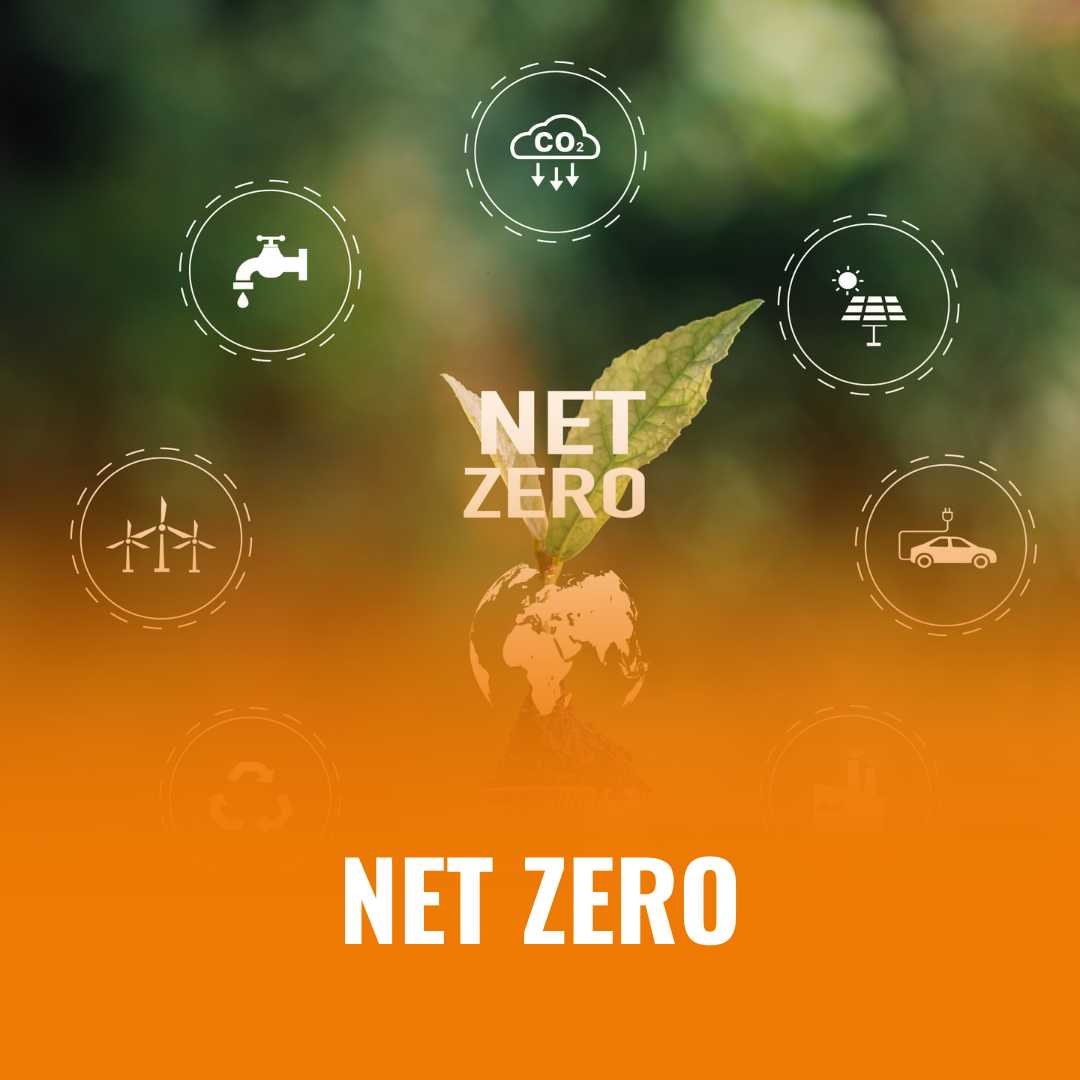 NET ZERO constructive voices