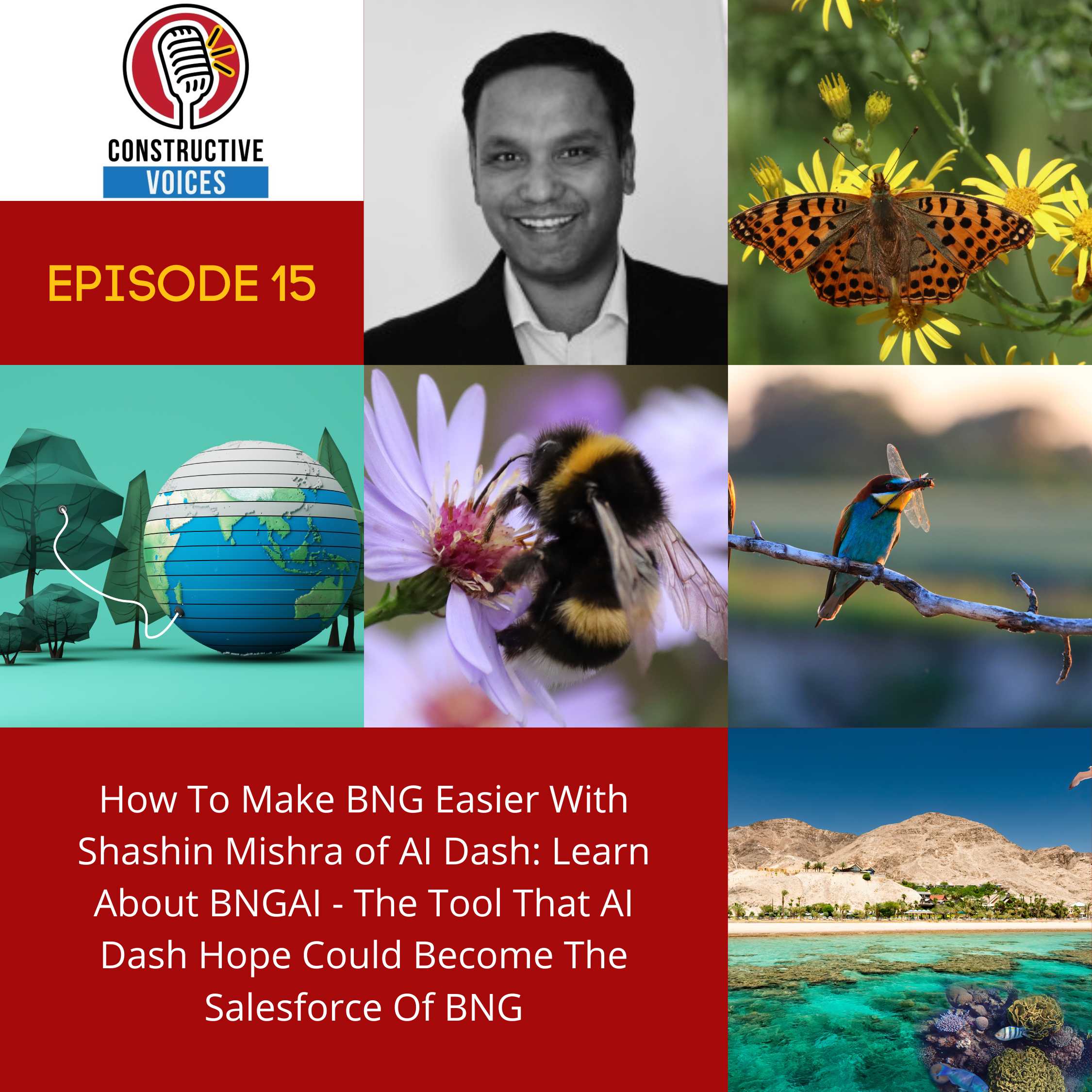 S3, E15, How To Make BNG Easier With Shashin Mishra of AI Dash (1)