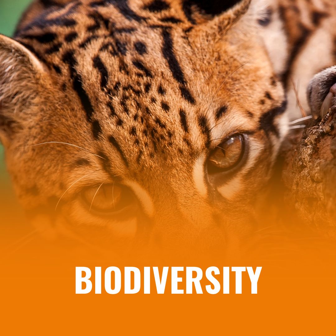 biodiversity constructive voices (1)