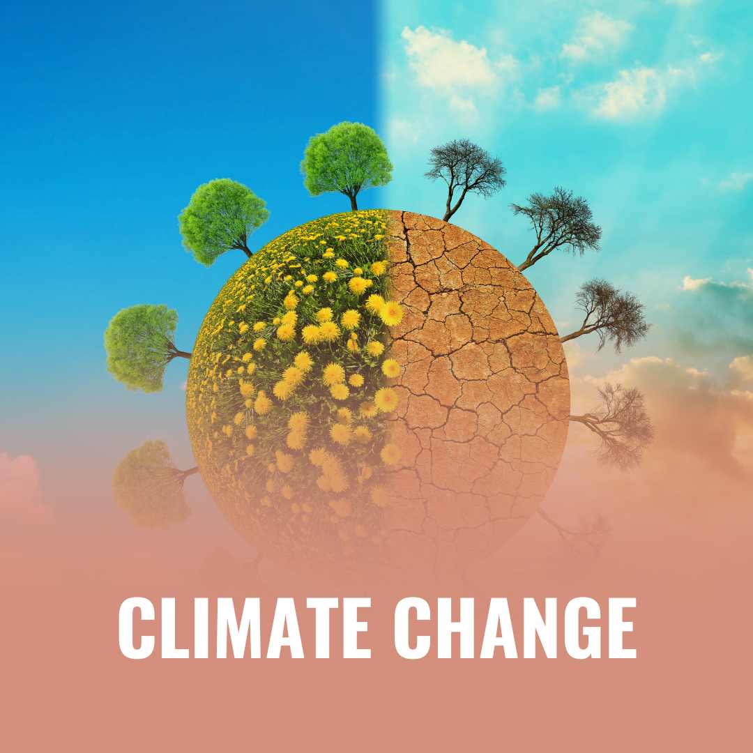 climate change built environment