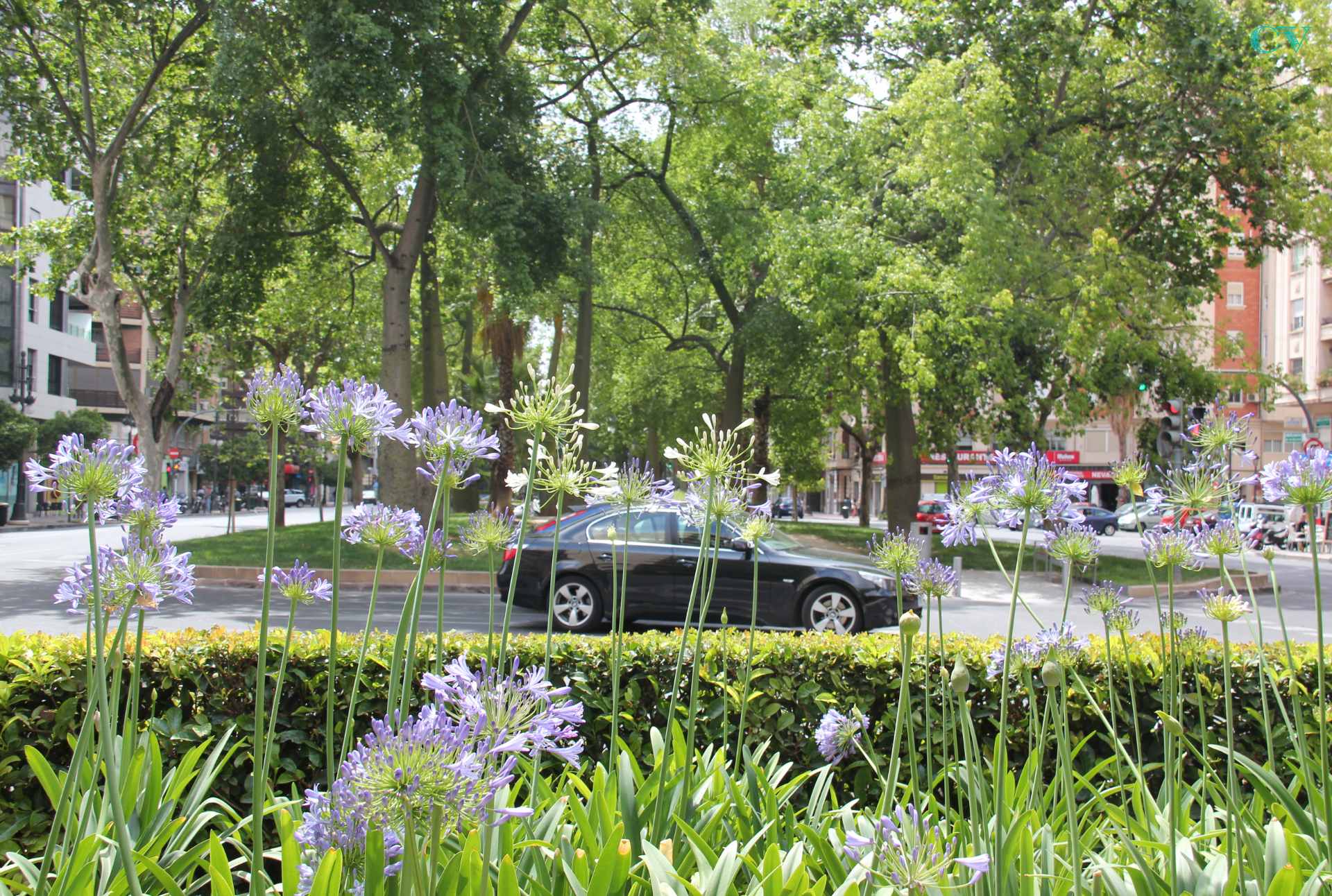 THE NATURE OF OUR CITIES Valencia city by Jackie De Burca