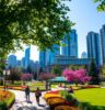 Vancouver’s Urban Forest