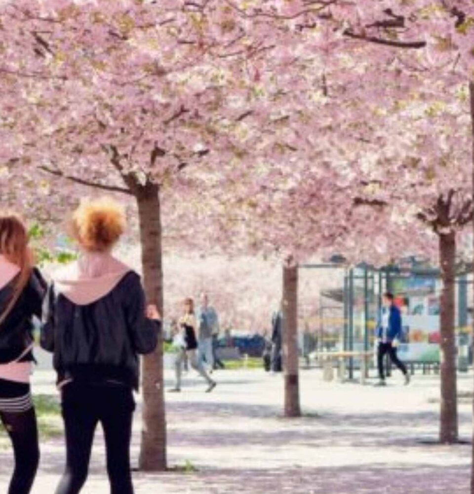 eco-architecture in Stockholm