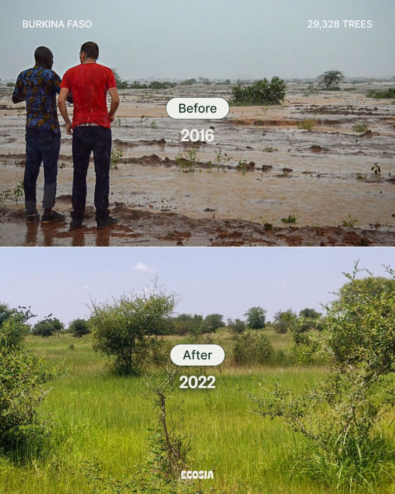 Ecosia trees Burkina Faso
