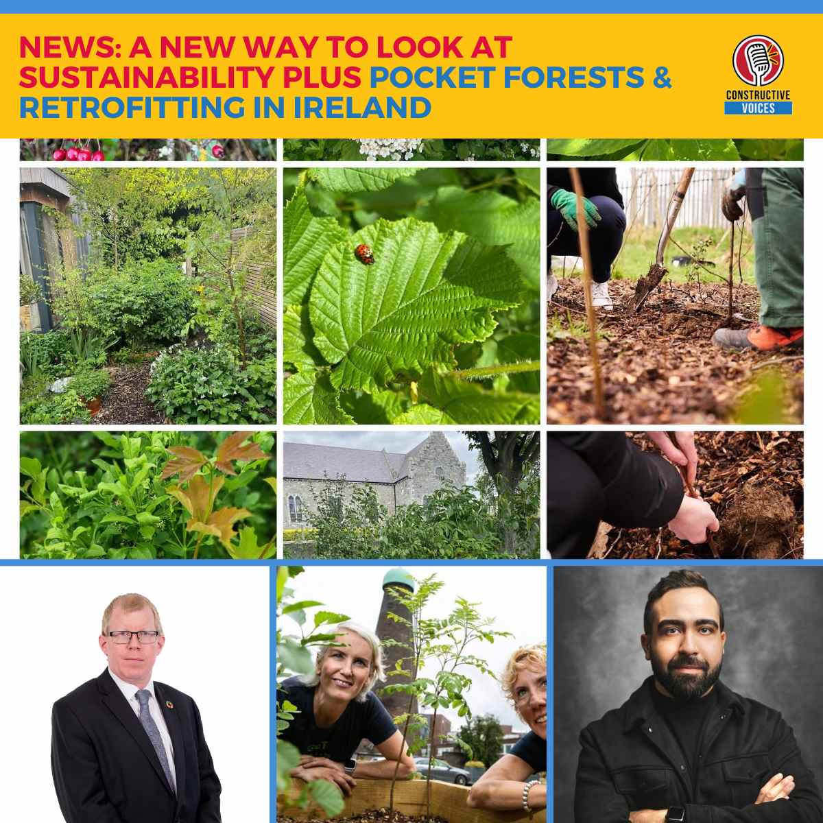 Good News: A New Way To Look At Sustainability & Pocket Forests & Retrofitting in Ireland 130 Good News A New Way To Look At Sustainability & Pocket Forests & Retrofitting in Ireland