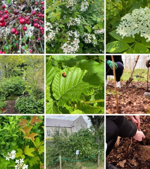 New Way To Look At Sustainability
