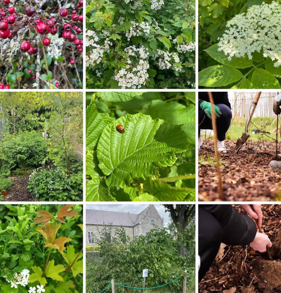 New Way To Look At Sustainability