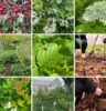 New Way To Look At Sustainability