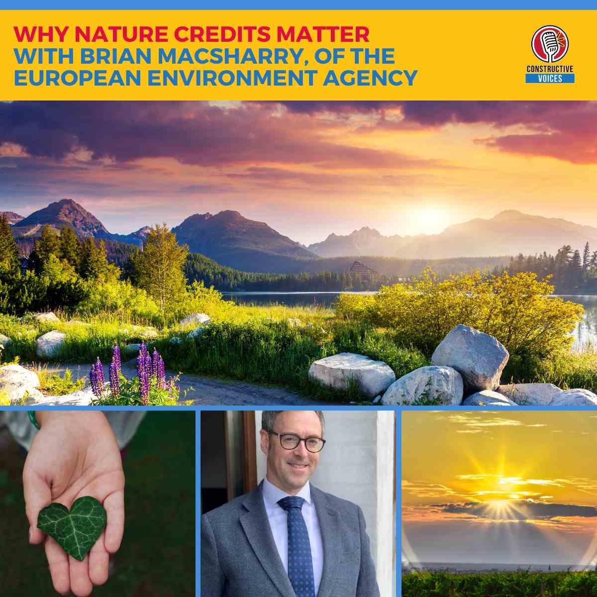 Why Nature Credits Matter – With Brian MacSharry, European Environment Agency