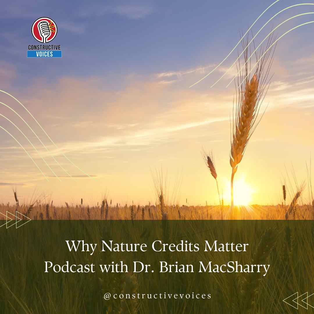Why Nature Credits Matter – With Brian MacSharry, European Environment Agency (3)
