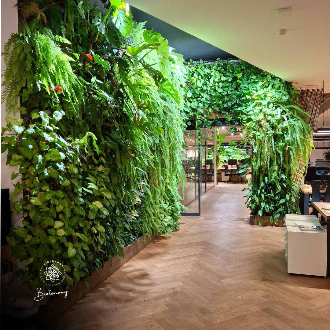 Moein Nodehi Biotonomy visual of green walls