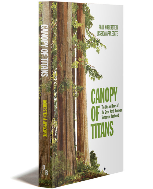 Canopy of Titans book 3D render