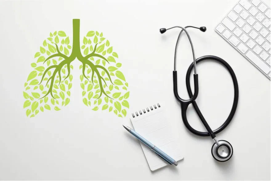 nature lung and stethoscope