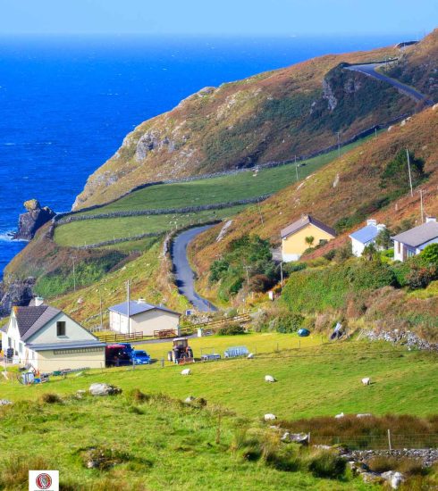 Ireland Biodiversity and the Built Environment
