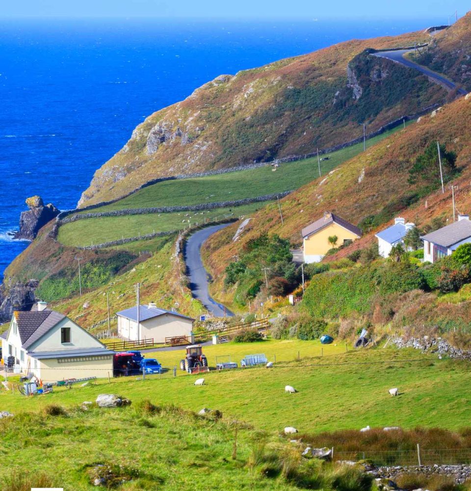 Ireland Biodiversity and the Built Environment