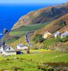 Ireland Biodiversity and the Built Environment 1 Ireland Biodiversity and the Built Environment